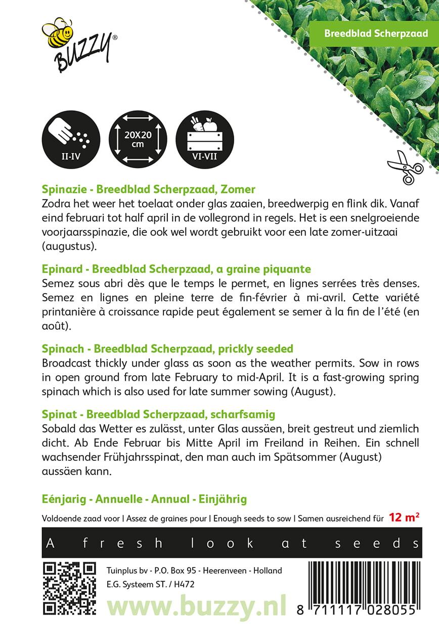 Spinazie Breedblad Scherpzaad zomer - Zaden