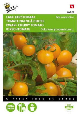 Tomaten Gourmandise (gele cherry patio)