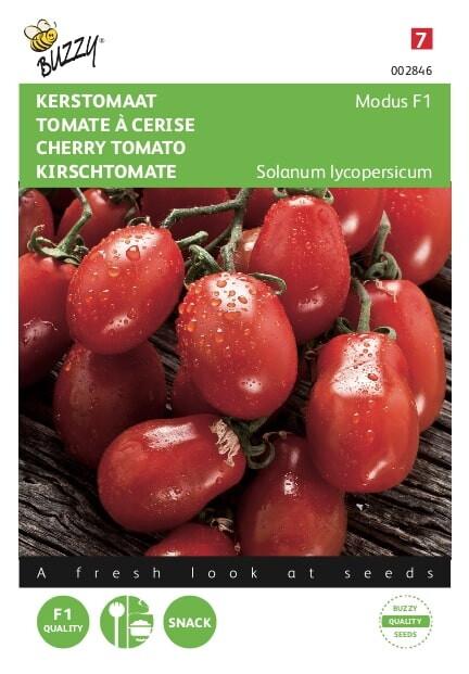 Tomaten Modus F1 - Zaden