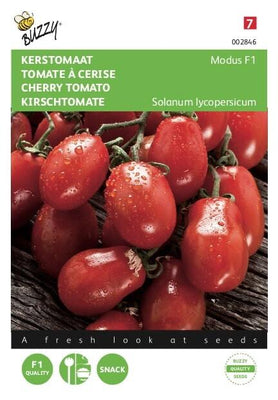 Tomaten Modus F1