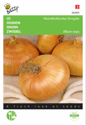 Ui Noordhollandse Strogele