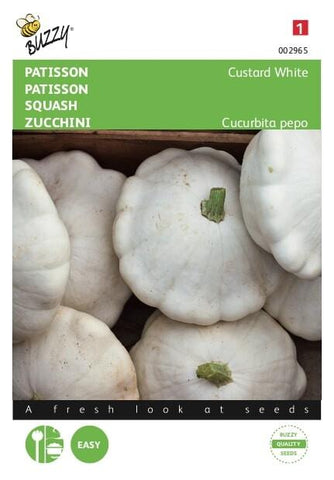 Patisson Custard White - Zaden