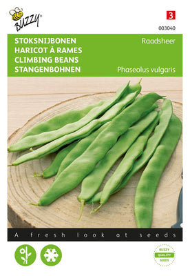 Stoksnijbonen Raadsheer, type Veense
