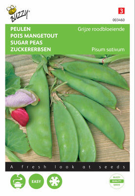 Peulen Grijze roodbloeiende