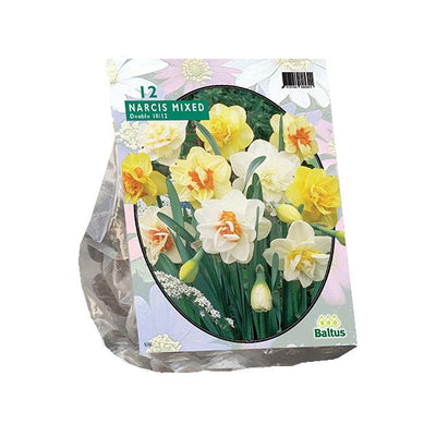 Mélange double de narcisses - 20 pièces
