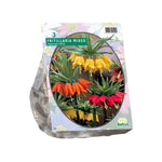 Fritillaria Imperialis Mixed - 3 stuks - Bloembollen