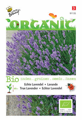 Echte Lavendel (BIO)