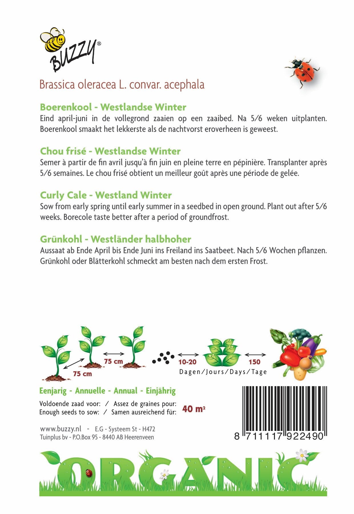 Boerenkool Westlandse Winter (BIO) - Zaden