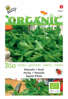 Peterselie Gigante d'Italia (BIO)