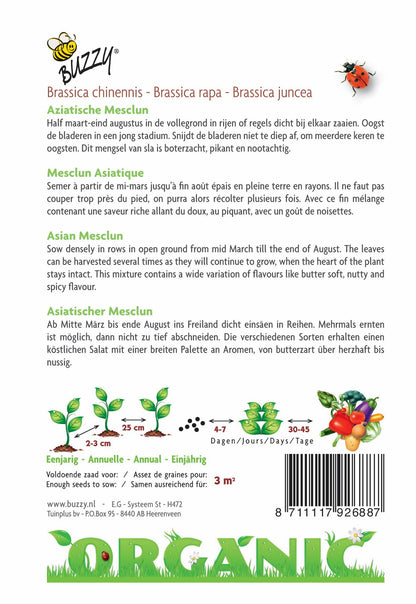 Aziatische Mesclun (BIO) - Zaden