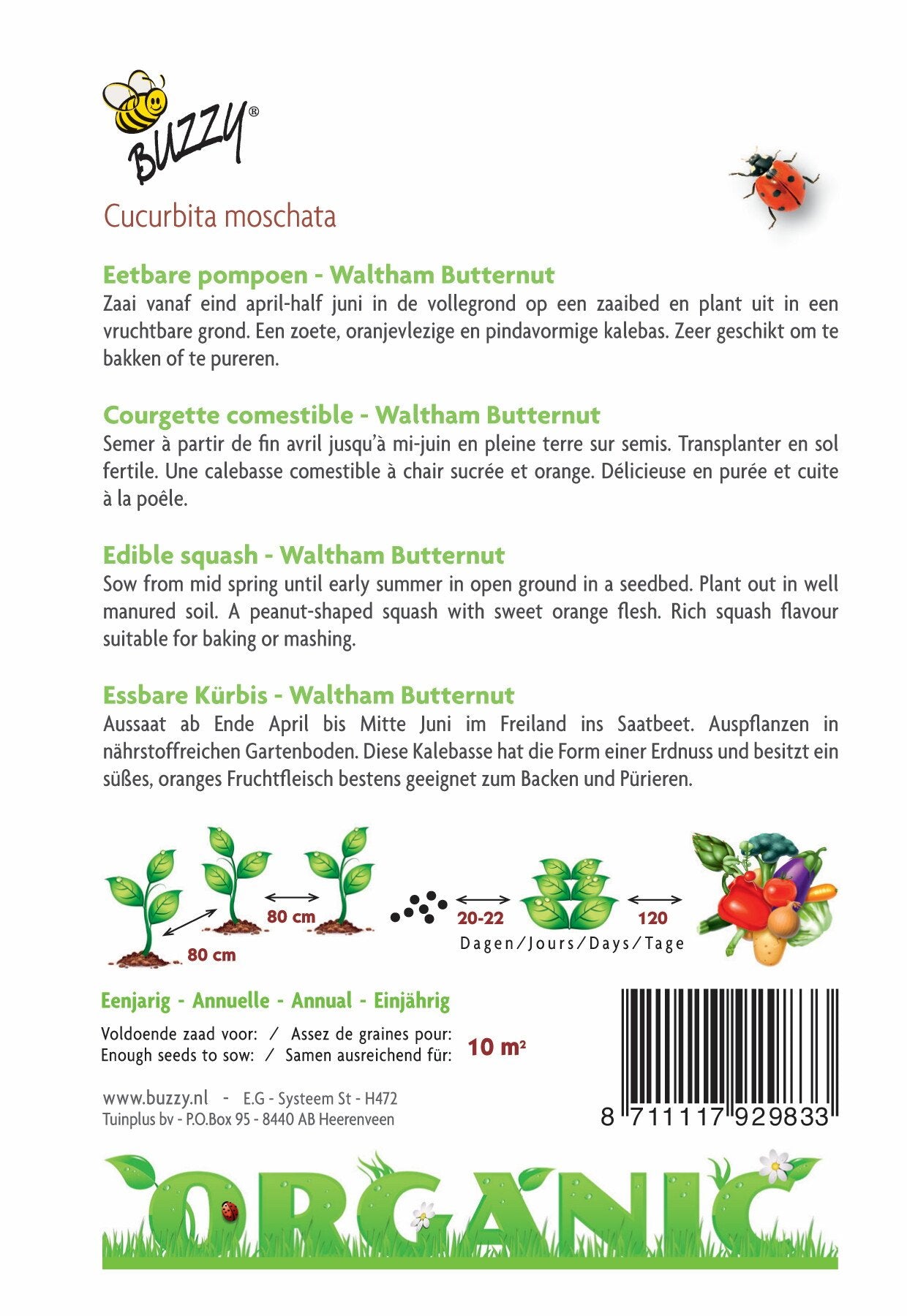 Eetbare Pompoen Waltham Butternut (BIO) - Zaden
