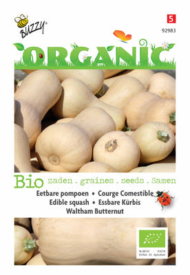 Eetbare Pompoen Waltham Butternut (BIO)