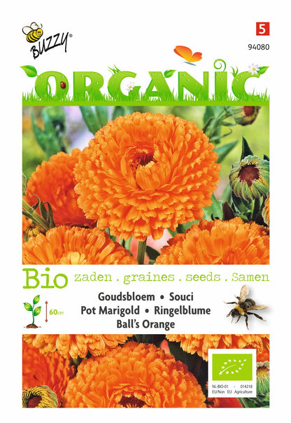Calendula, Goudsbloem Ball's Orange (BIO) - Zaden