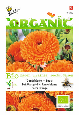 Calendula, Goudsbloem Ball's Orange (BIO)