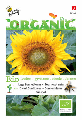 Helianthus, Lage zonnebloem Sunspot (BIO)