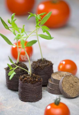 Kokos kweektabletten - Ø3,5 cm - 18 stuks